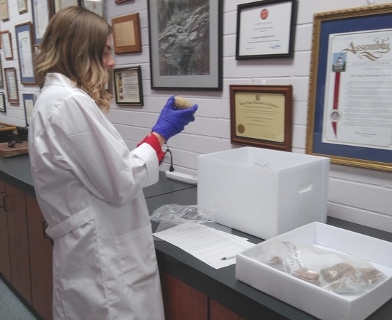 From Inside the Vaults: Collections Inventory – SAN DIEGO ...