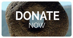 donate button